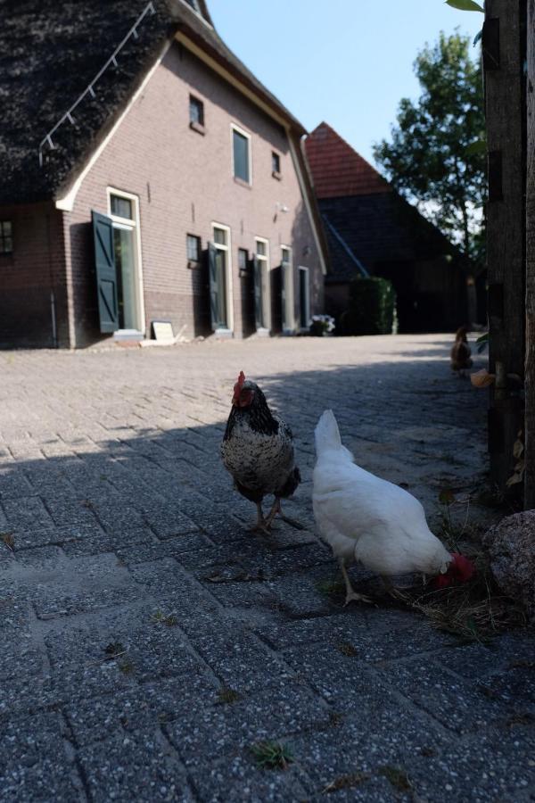 Onder De Appelboom Bed & Breakfast Garminge Exterior foto